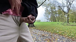 Large public cumshot followed by huge squirting piss stream outdoors on a fall day. Cum piss cock!