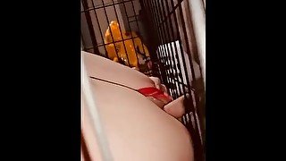 Naughty girl pleases daddy in cage