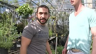 A bearded queer blows and gets fucked in a greenhouse