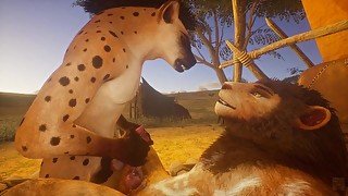 Wild Life Hyena and Lion Gay Furry