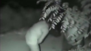 Voyeur tapes a fucked up couple fucking in the bushes