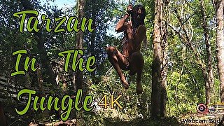 Tarzan In The Jungle (4K)