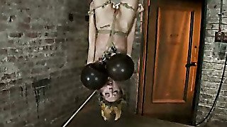 March's Live Show 3/3: Zippered, severely flogged, 2 huge bowling balls hung off her pussy. Sexy!