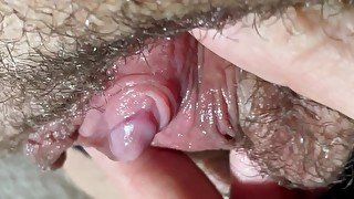 Big Pussy Meaty Lips fat Clit