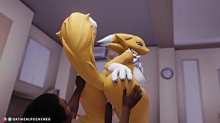 Renamon: Ride on