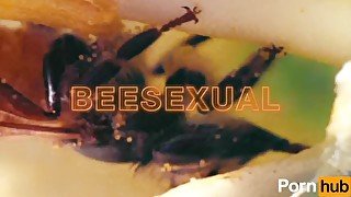 bee video