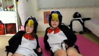 Teen penguins on cam