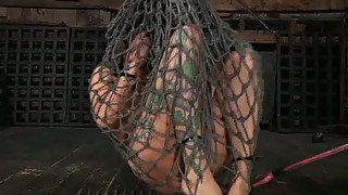 Chick in fish net is punished in the torture room