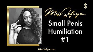 Small Penis Humiliation #1 - Audio Only