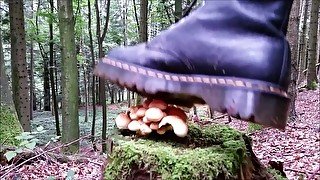 Mushrooms Stomping with Doc Martens Boots