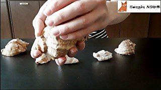 1[ASMR] Rubbing together and scratching seashells (no talking)