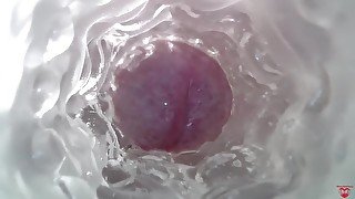 Sweet creampie in vagina. Super internal camera