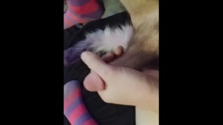 Horny slut in knee highs with a plug tail cums closeup