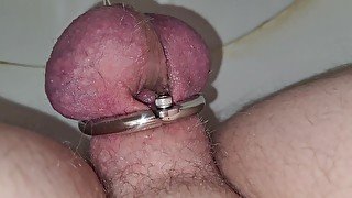 Going pee with metal negative chastity cage