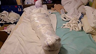 The Diaper Mummy