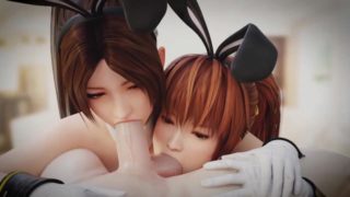 Mai and Kasumi Shared Blowjob Dead or Alive