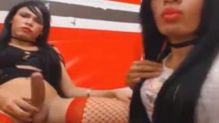 Jiggish T-Girl Duo Draining on Webcam