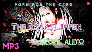 AUDIO ONLY - The porn flipper