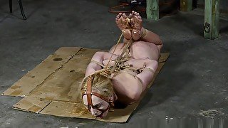 Ariel Anderssen – A Tight Box Hogtie For Ariel – 4 Par - Teaser Video