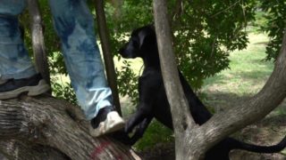 VIDEO FILTRADO DE ESTER EXPOSITO DISFRUTA VER PERRA DESNUDA EN EL PARQUE