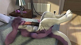 Pony Sex