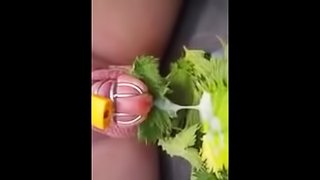 Nettle Torture Orgasm