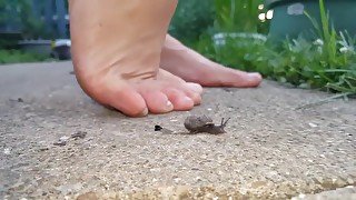 Barefoot snail crush