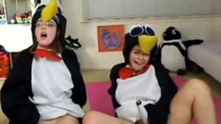 Teen penguins on cam