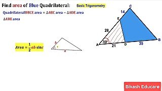 Brandi Love Style Slove this math problem (Pornhub)