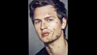 ANSEL ELGORT Gay Cum Tribute