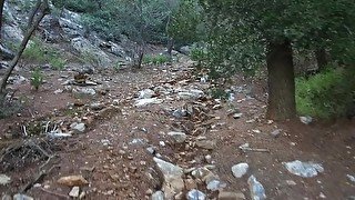 Rough Sex In The Forest Huge Cumload In Pussy Intense Orgasms