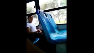 HORNY BUS