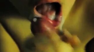 Close up blowjob and a thick cumshot in a thick lips