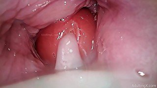 Camera in Vagina, Cervix POV, "Creampie"