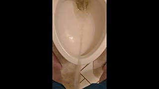 Toilet Piss 1