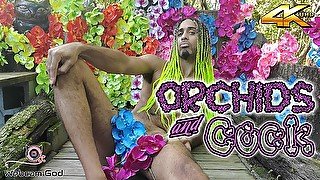 Orchids and Cock (4K)