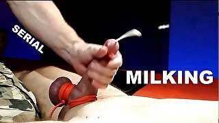 From my archive 6 - milking