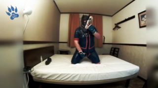 Rubber-Pup riding Dragon XL and snifing sneaks in hotel room