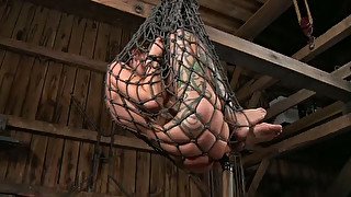 Suspended in fish net chick is ready for punishment