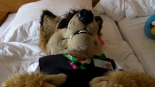 320px x 180px - Gay Fursuit HD Porn Search - Xvidzz.com