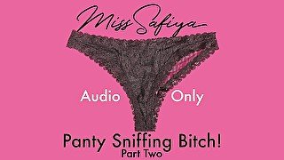 AUDIO ONLY - Panty sniffing bitch Pt 2