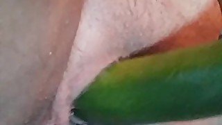 Extreme Close Up Vegetable Insertion in Pussy Fun