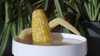 hot steamy hardcore corn