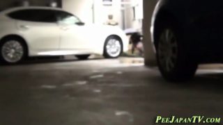 Asian teen spied pissing