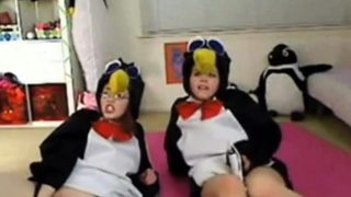 Teen penguins on cam