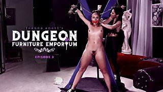 Joanna Angel's Dungeon Furniture Emporium - 3