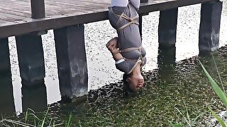 Bridge Predicament 2