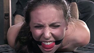 Brunette slave girl with ball gag in her mouth C.Calvert hogtied for tortures