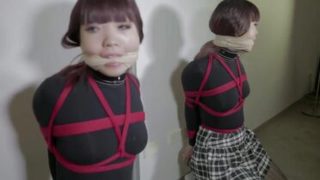 Divine asian female in fetish porn video