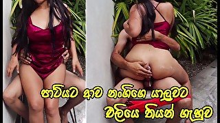 පාටියේ කෙල්ලට එලියෙ ගැහුවා Sri Lankan Risky Outdoor Public fuck  with the girl who came to the PARTY